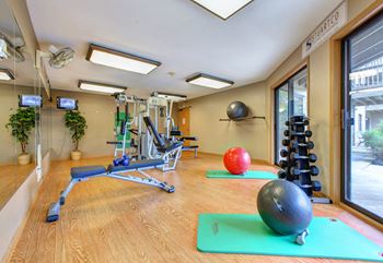 Free weights
